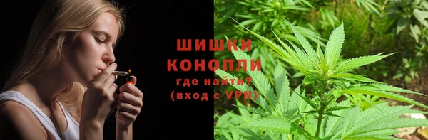 стаф Краснослободск