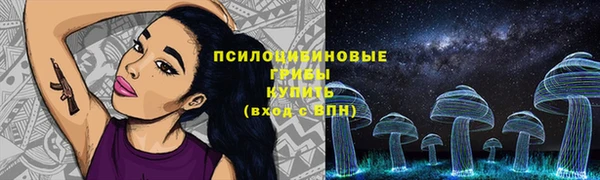 герыч Лагань