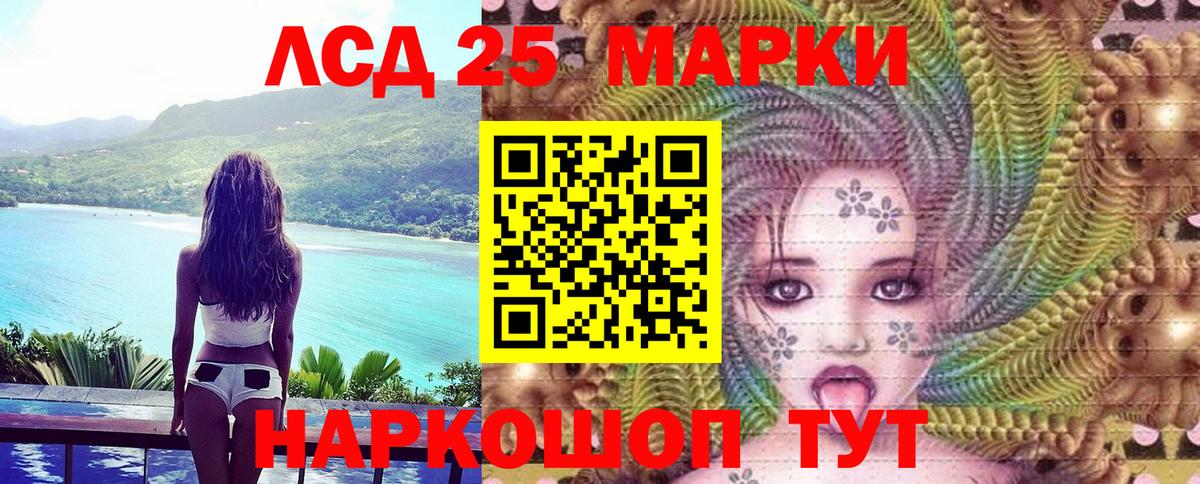 Наркотические марки 1500мкг  Вход с VPN  Красный Сулин 