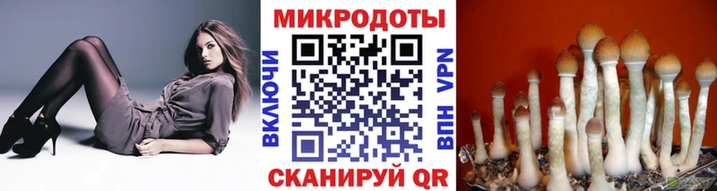 Псилоцибиновые грибы Magic Shrooms Красный Сулин