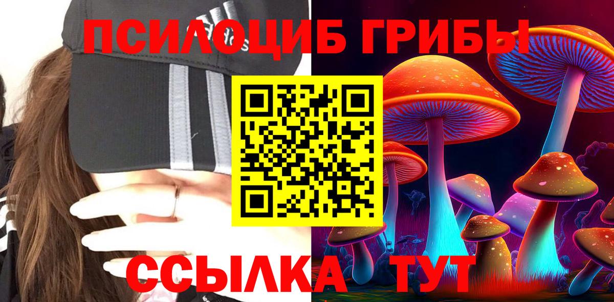 Красный Сулин  Галлюциногенные грибы Magic Shrooms  Псилоцибиновые грибы прущие грибы  даркнет сайт  Вход с VPN 