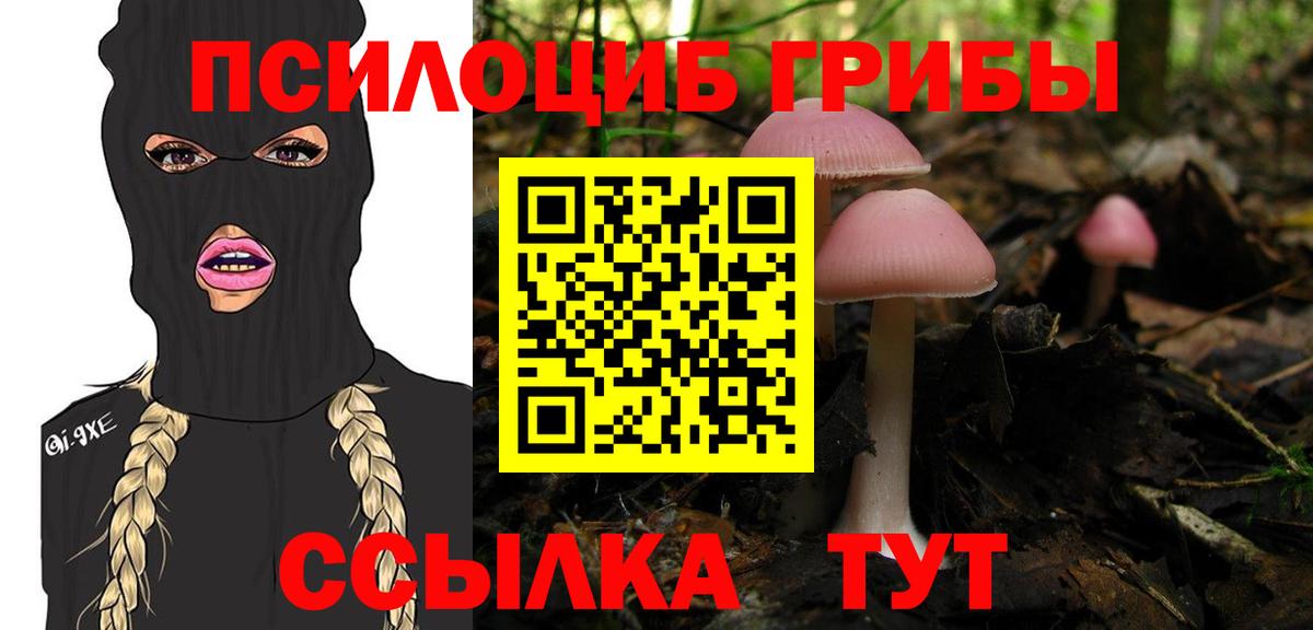 Галлюциногенные грибы Magic Shrooms Красный Сулин